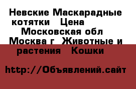 Невские Маскарадные котятки › Цена ­ 5 750 - Московская обл., Москва г. Животные и растения » Кошки   